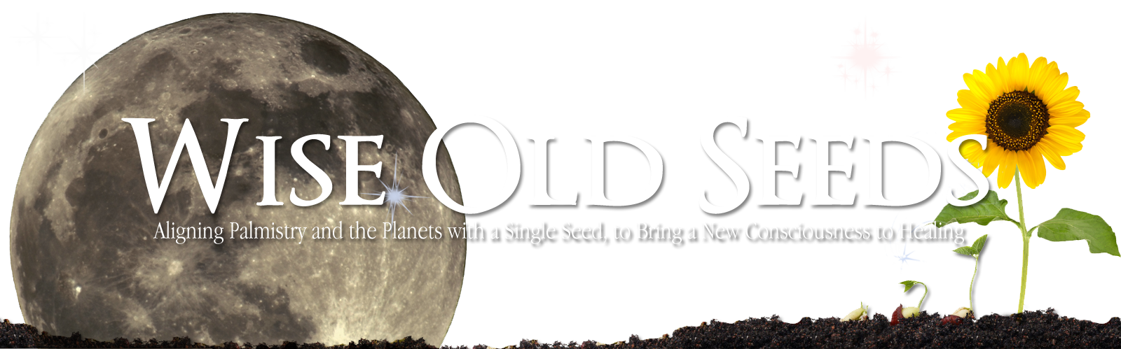 Wise Old Seeds